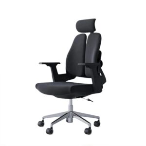 Sitora Ergonomic Mesh Chair with Lumbar Support