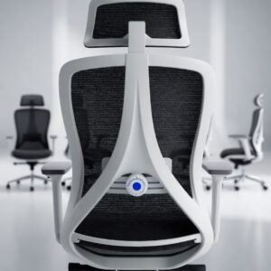 Ergonomic Premium Chair with Adjustable Lumbar Support and Headrest | Sitora
